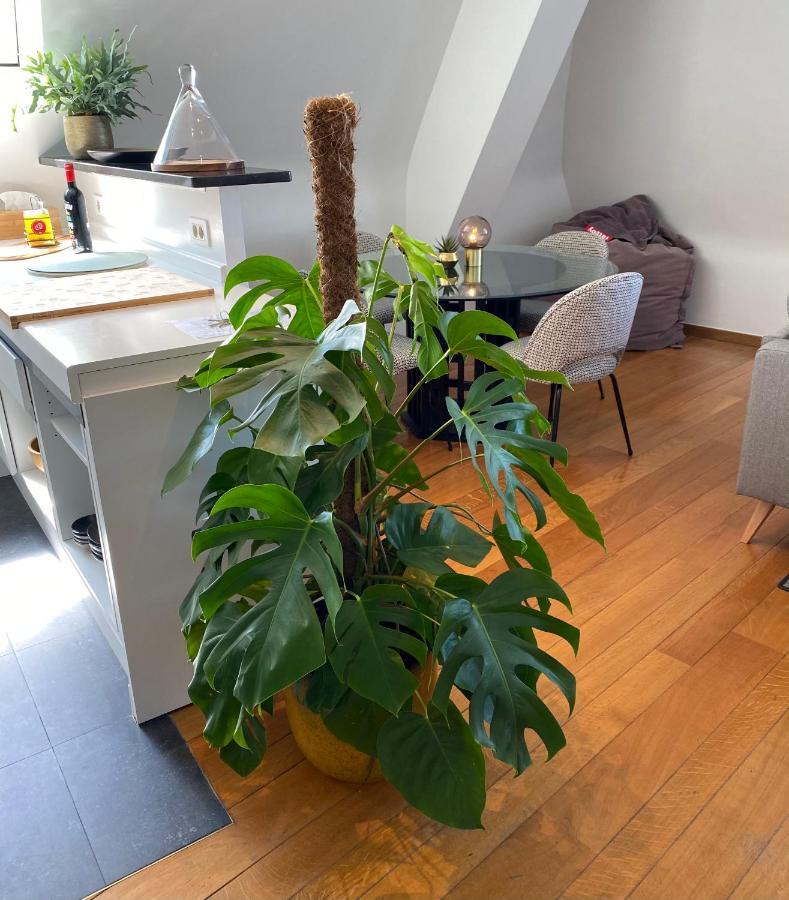 Apartmán Definitief Gesloten Ostende Exteriér fotografie